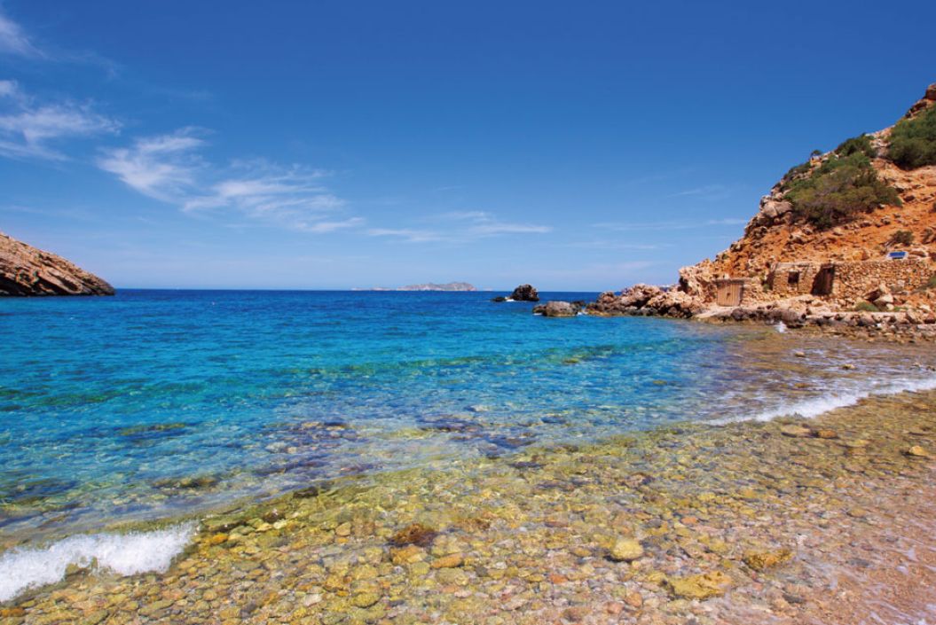 La vida marina de Ibiza: ¿qué puedes ver buceando?