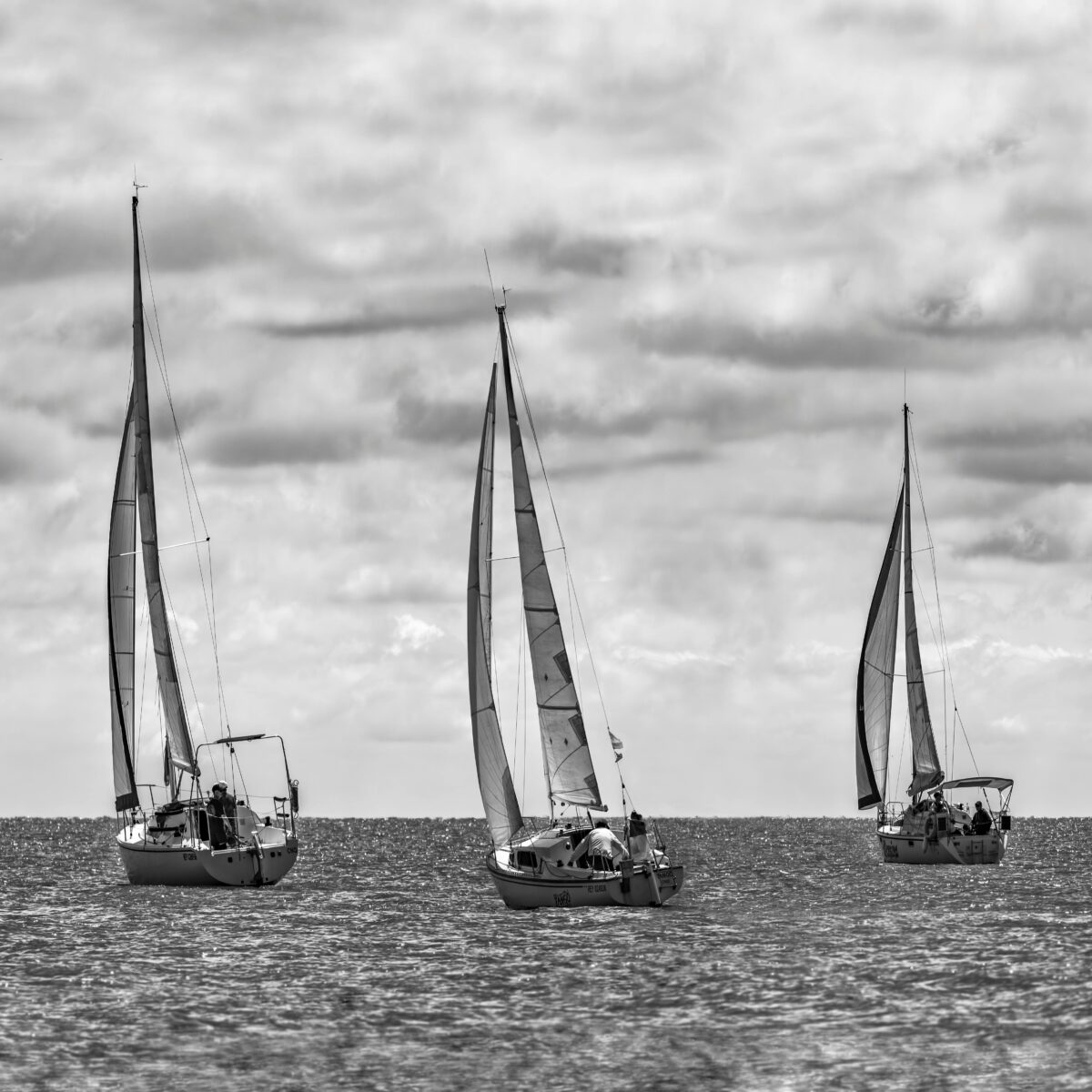 regata de veleros