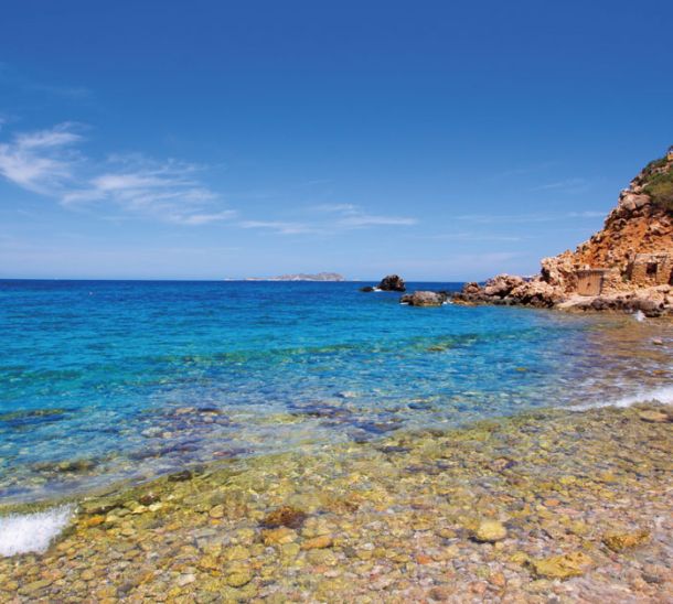 La vida marina de Ibiza: ¿qué puedes ver buceando?